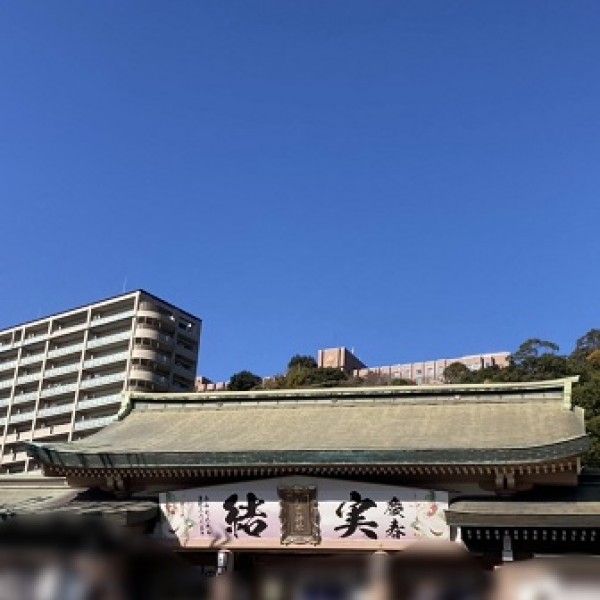 初詣 ♪サムネイル