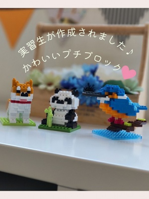 新しい仲間が増えました♪サムネイル